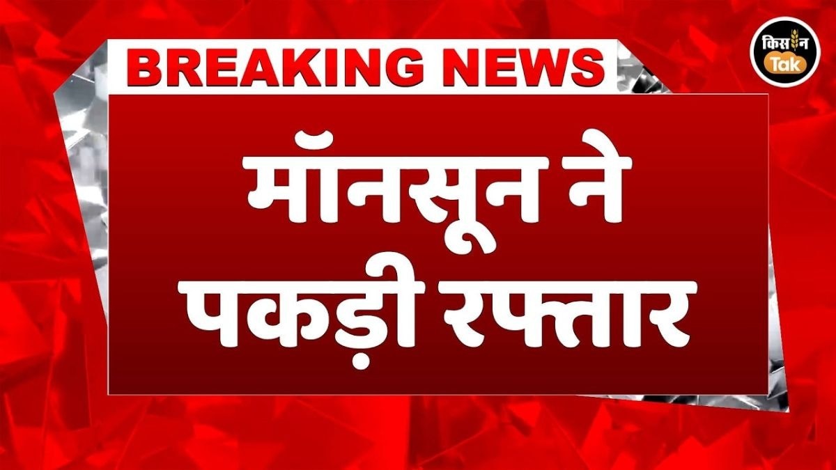 फिर एक्टिव हुआ मॉनसून! कई राज्यों में भारी बारिश का अलर्ट