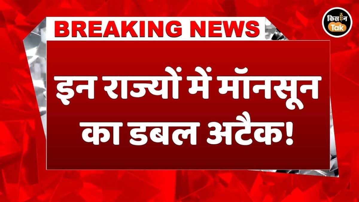 कई राज्यों में भारी बारिश का Red Alert, गुजरात से बिहार तक बरसेंगे बादल