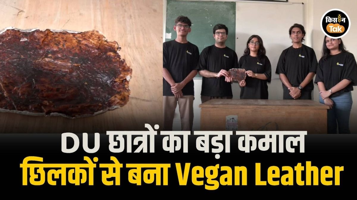 इको-फ्रेंडली लेदर