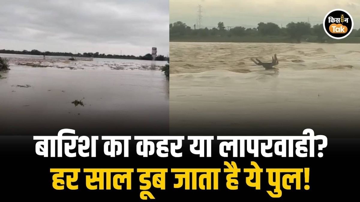 चंद्रपुर में बाढ़ का असर