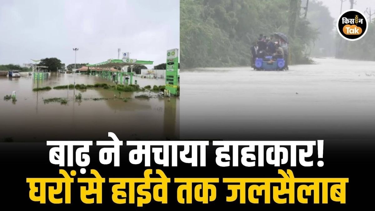 बारिश बनी आफत