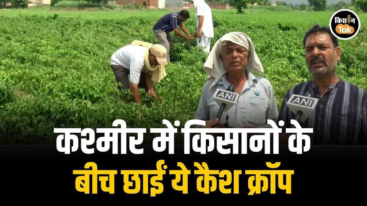 Jammu Kashmir farming