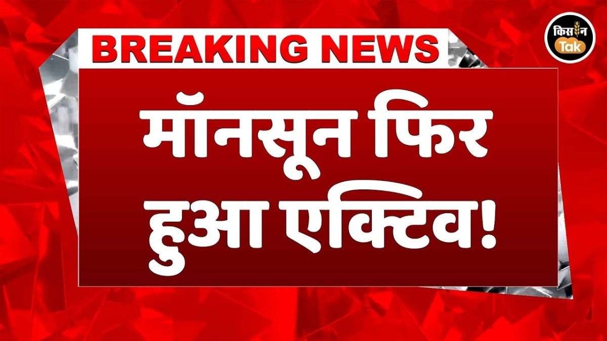 6 अगस्त को कई राज्यों में होगी भारी बारिश, IMD ने जारी किया अलर्ट