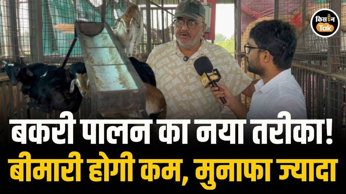बकरी पालन