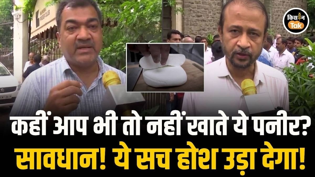 पनीर का 'काला सच'