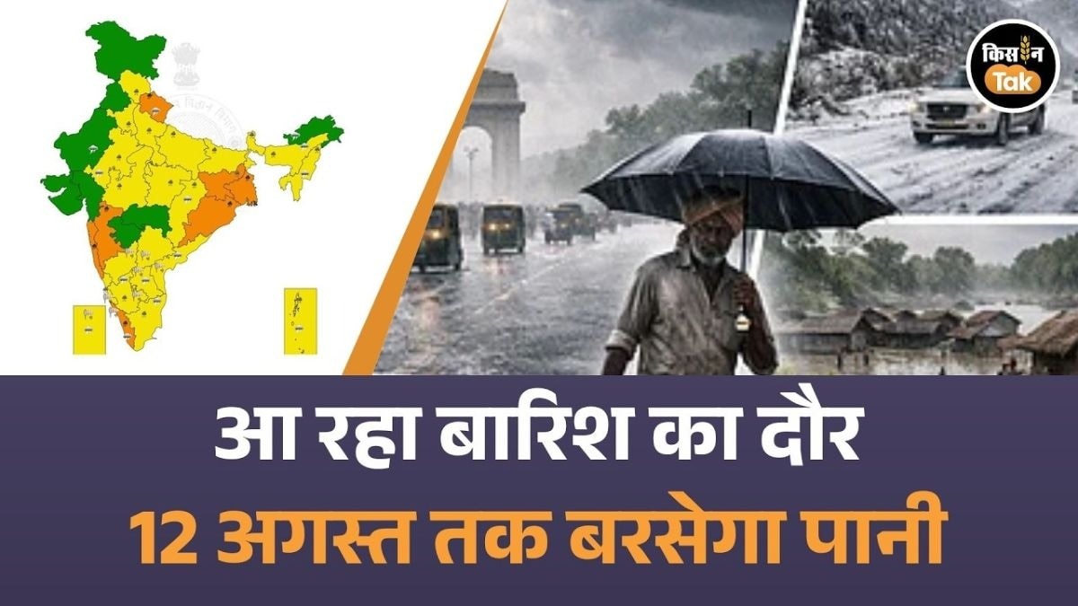 फिर एक्टिव होगा मॉनसून! इन राज्यों में भारी बारिश का अलर्ट
