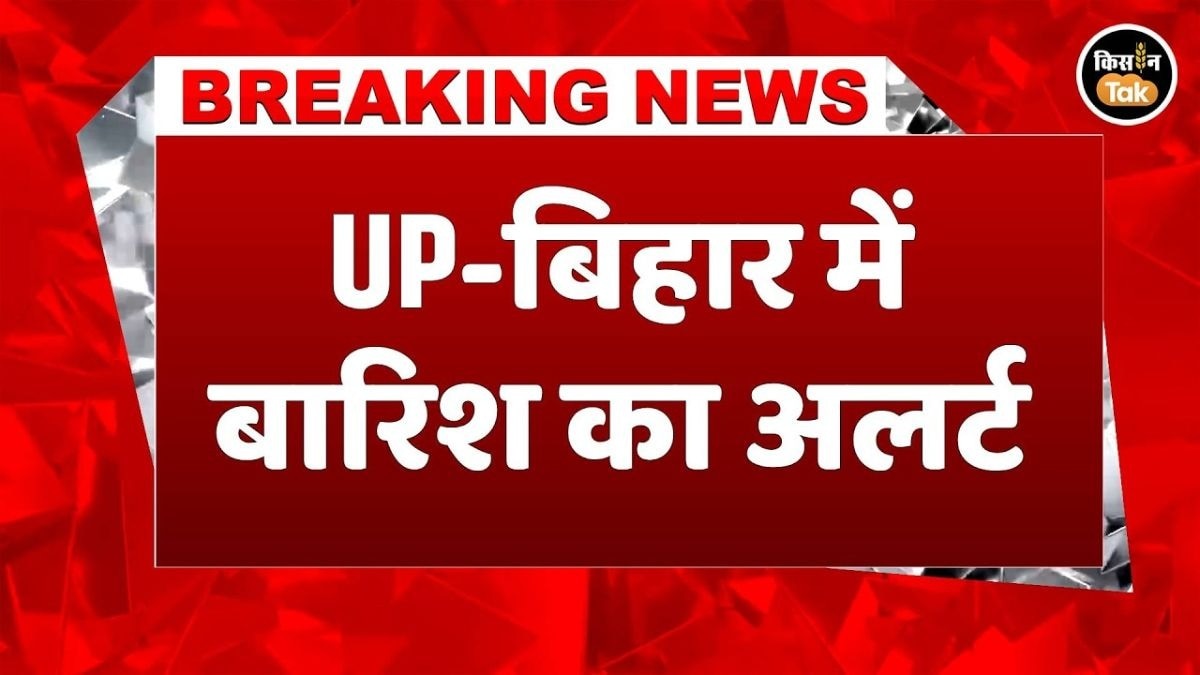 फिर सक्रिय हुआ मॉनसून! IMD ने जारी किया भारी बारिश का अलर्ट