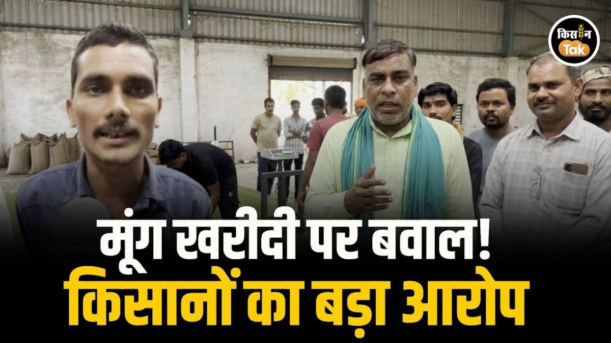 Pradesh Moong Procurement