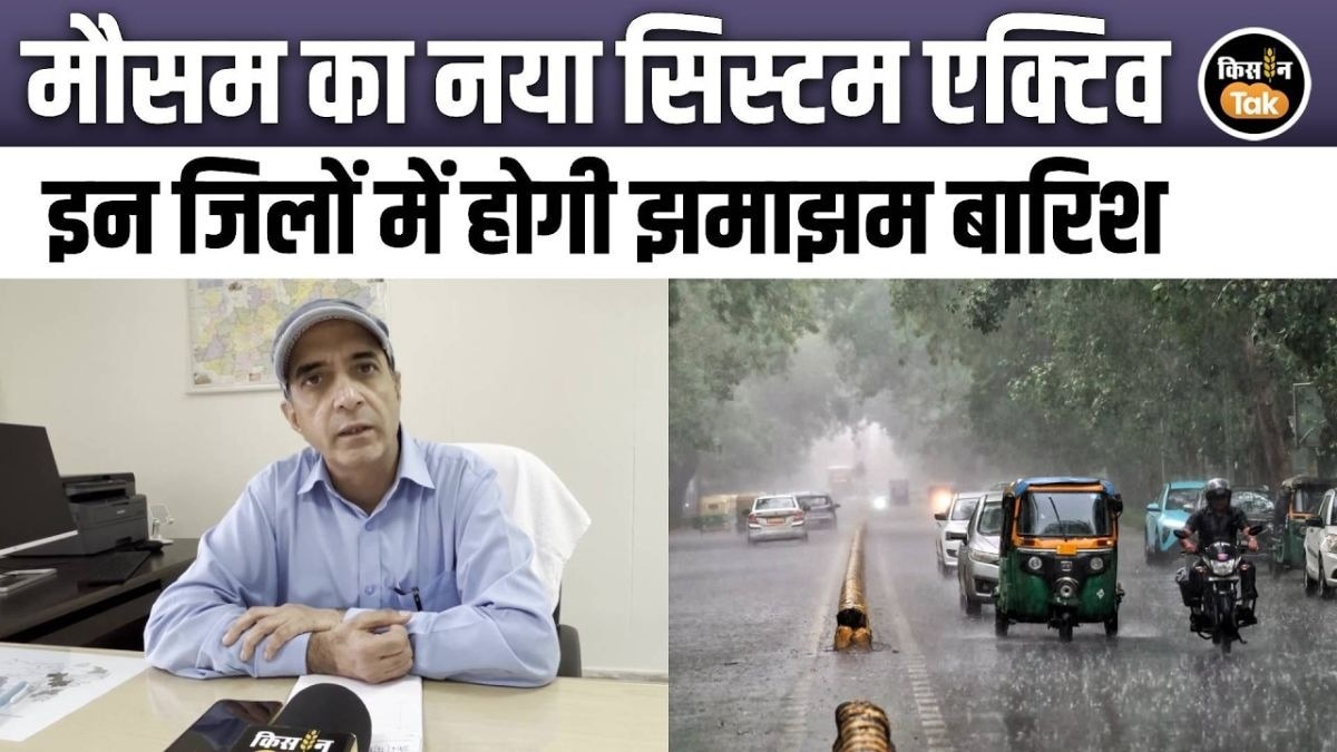 मॉनसून फिर एक्टिव
