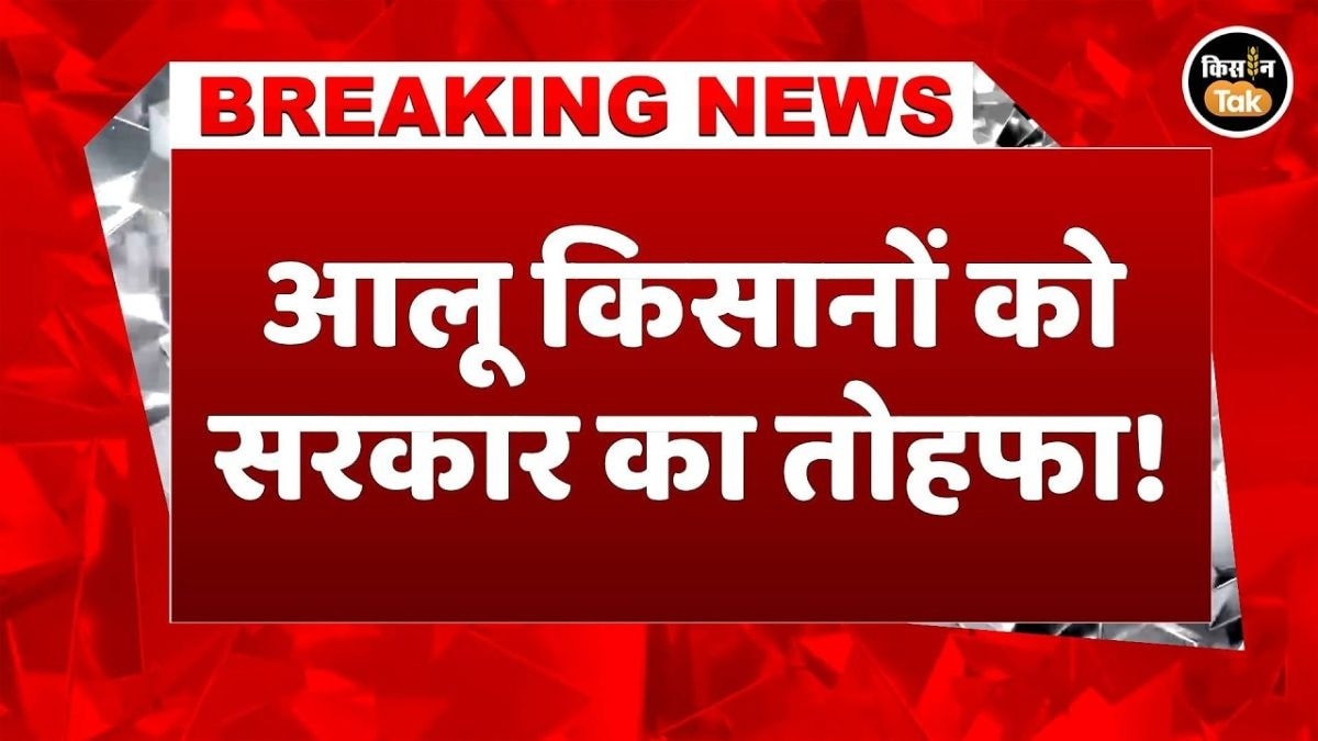 आलू किसानों के लिए बड़ा ऐलान