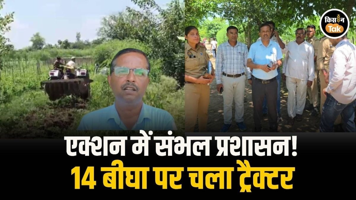 भू-माफियाओं पर बड़ा एक्शन