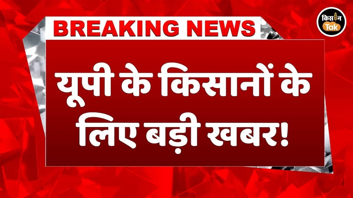 up farmer breaking news