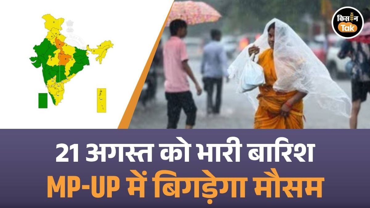 कई राज्यों में होगी जोरदार बारिश, IMD ने जारी किया अलर्ट