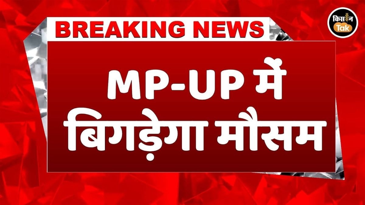 भारी बारिश का अलर्ट