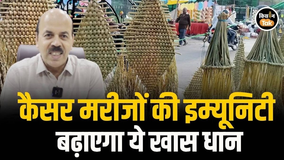 धान की खूबियां