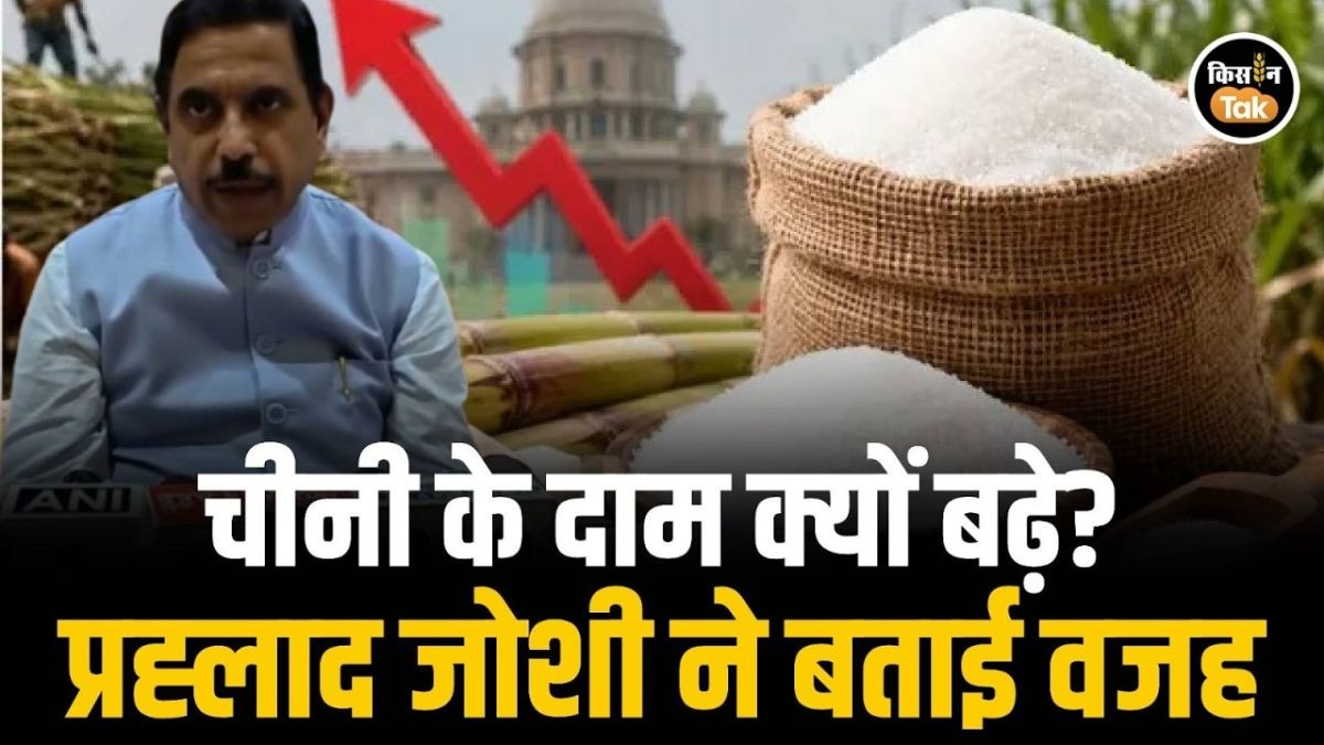 चीनी के दाम पर सरकार की सफाई