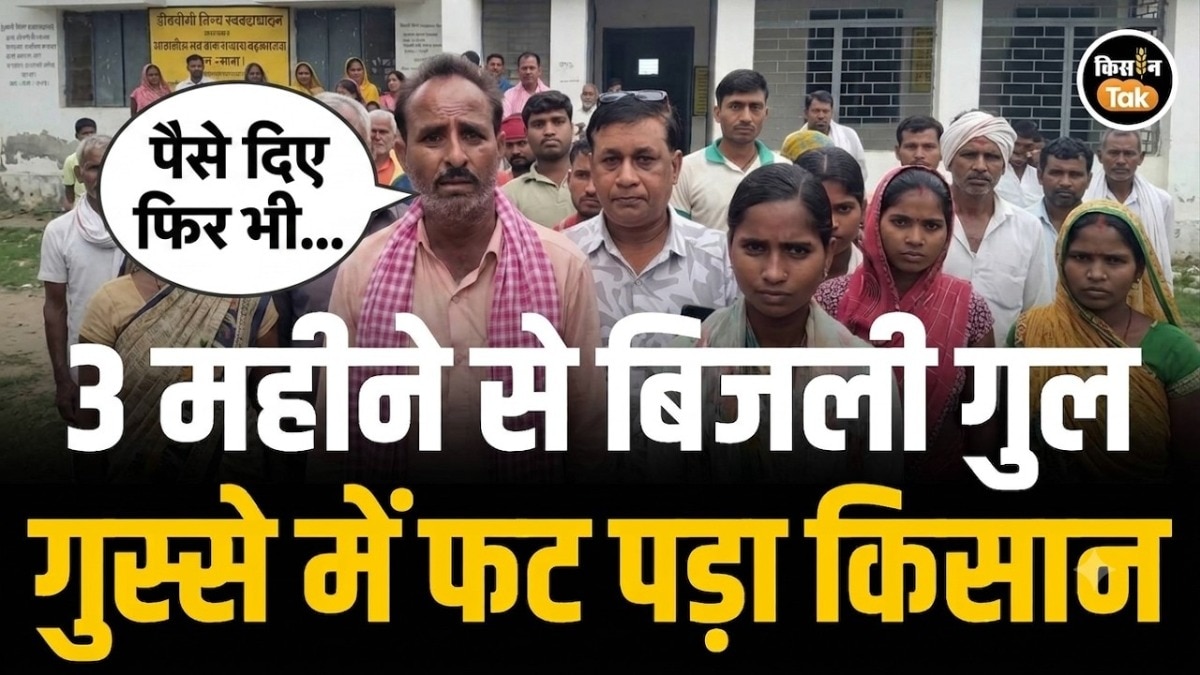 UP Electricity Crisis