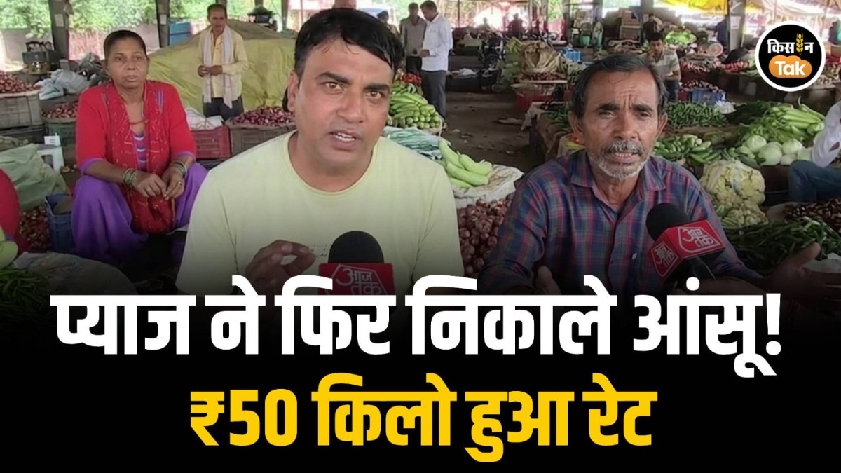 onion price hike
