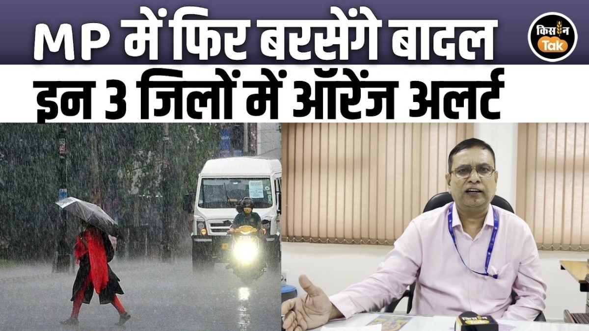 mp weather updates