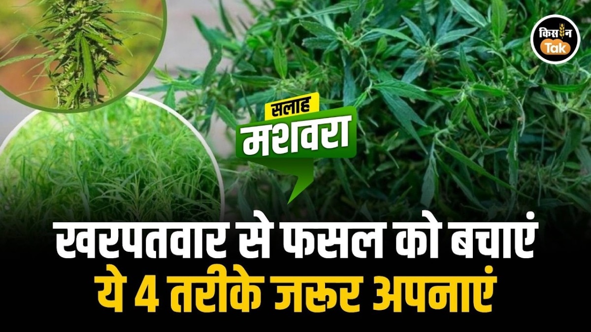 Weed Control