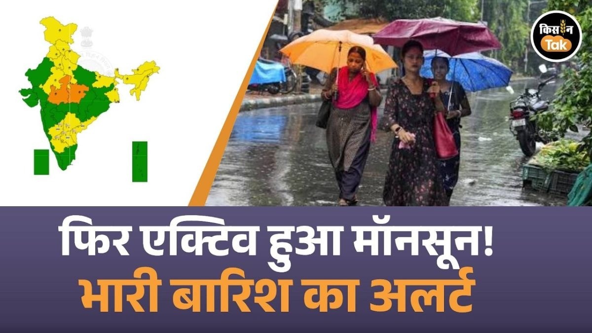 MP-UP समेत कई राज्यों में भारी बारिश