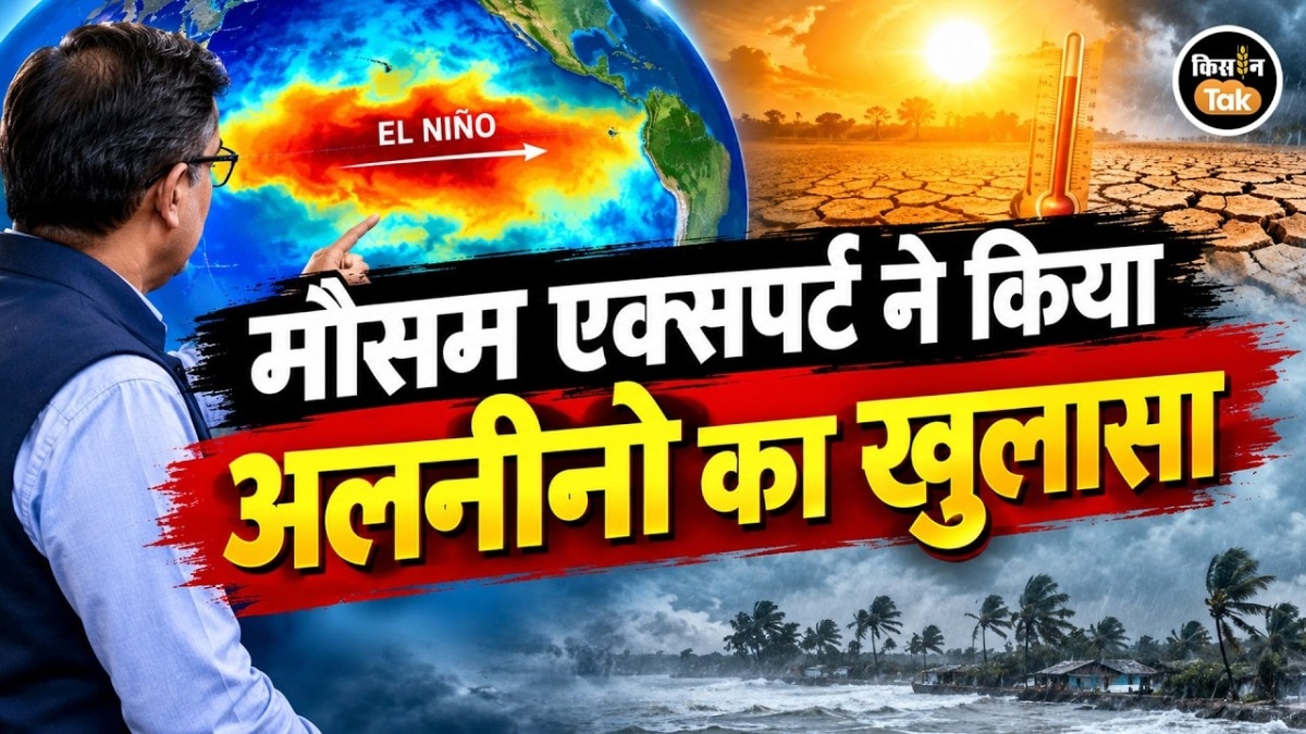 El Nino Effect