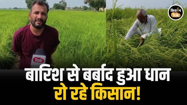 Karnal Farmers