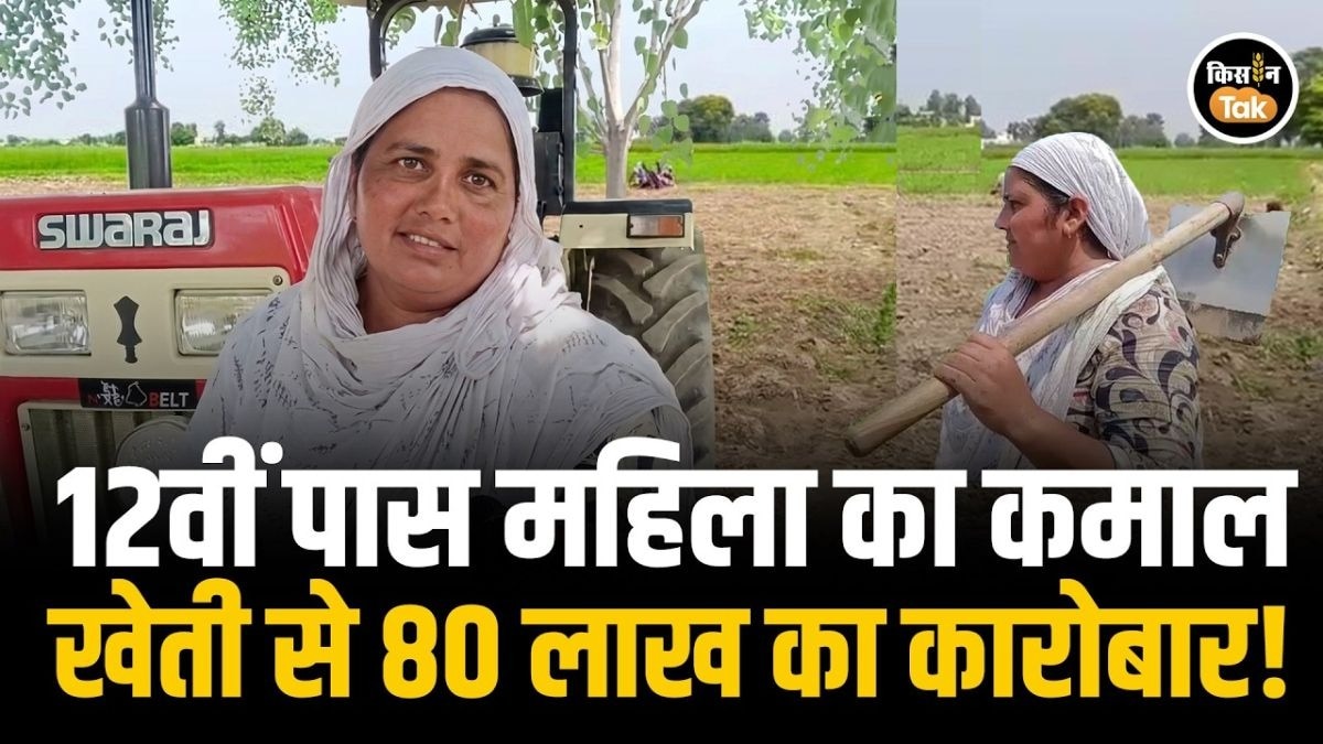 छोटी शुरुआत, बड़ी कामयाबी