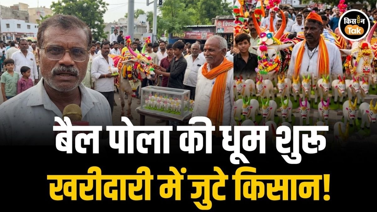पोला पर्व
