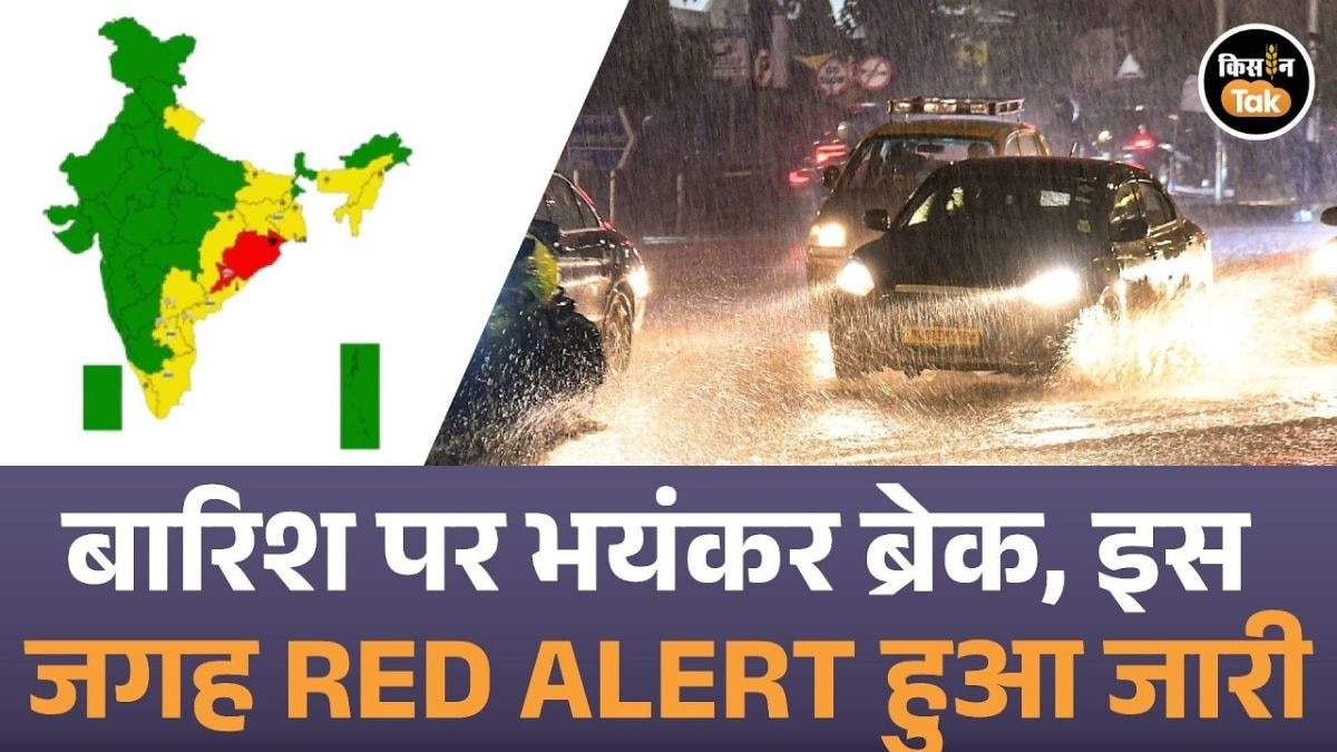 इन राज्यों में होगी बारिश