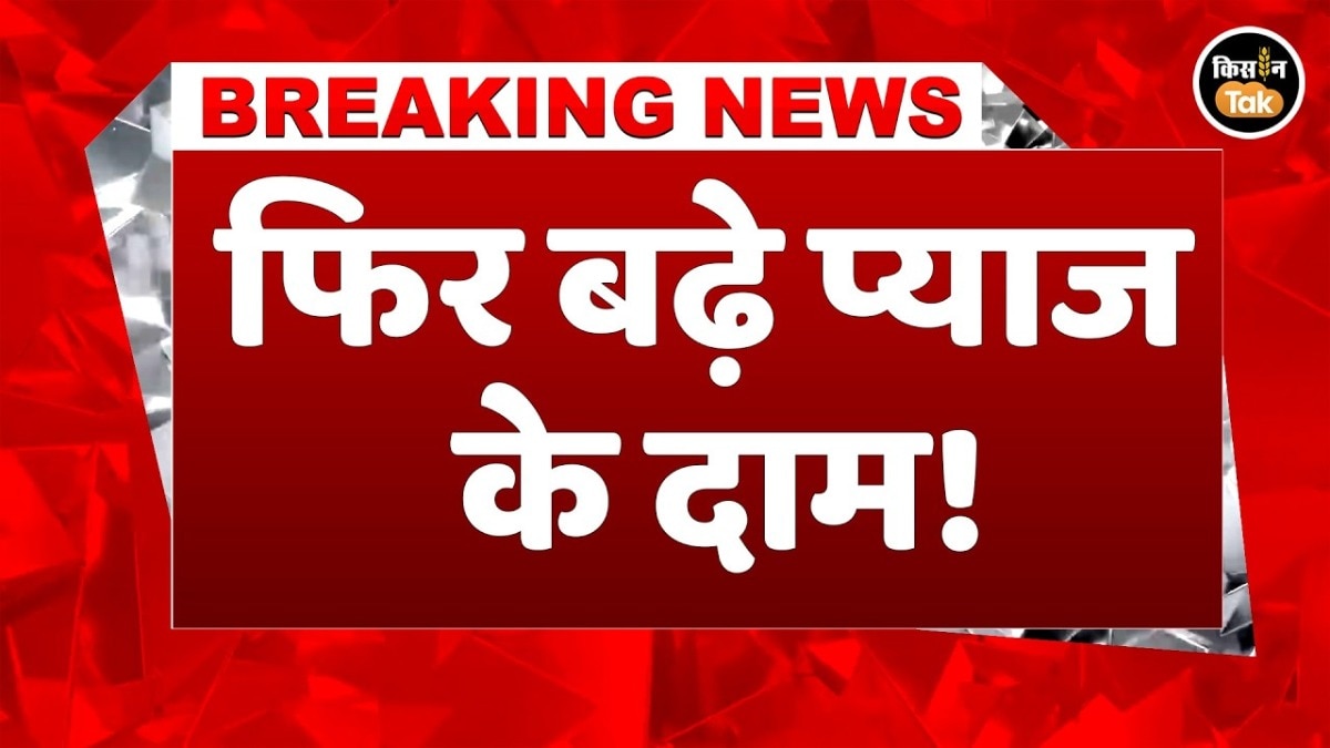Onion Price Rise