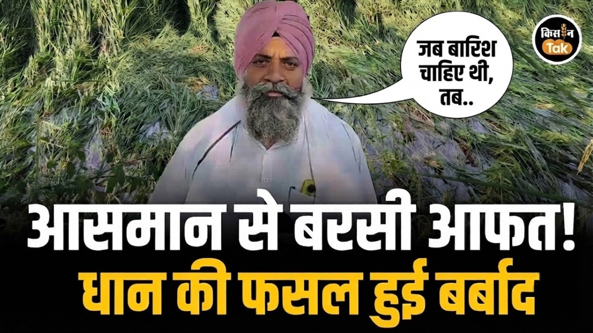 Karnal Farmers