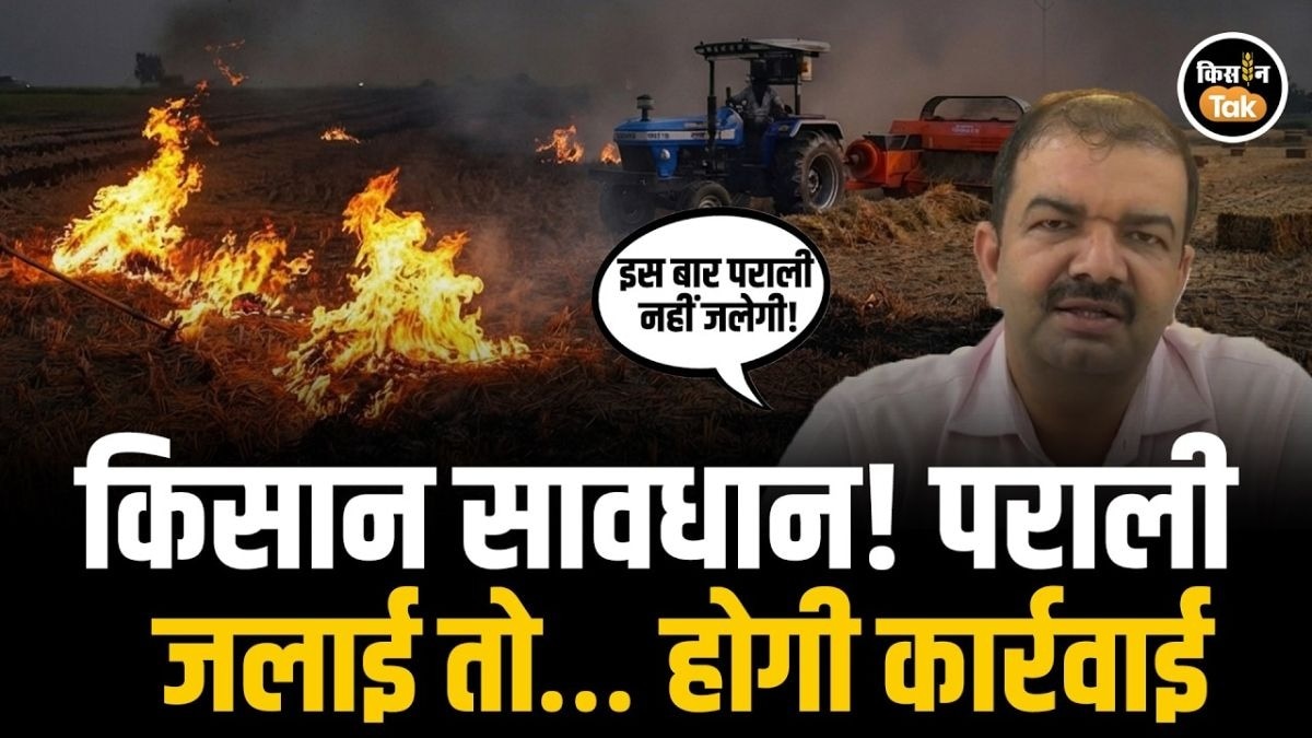 पराली
