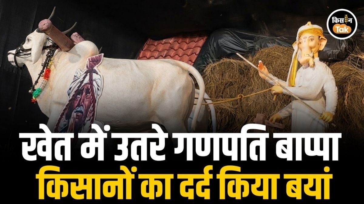 गणपति बाप्पा