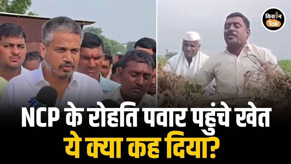 रोहित पवार