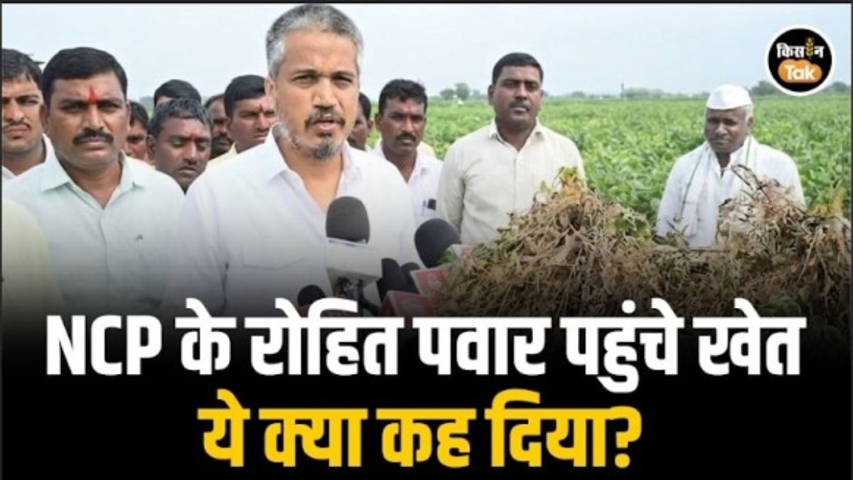 रोहित पवार