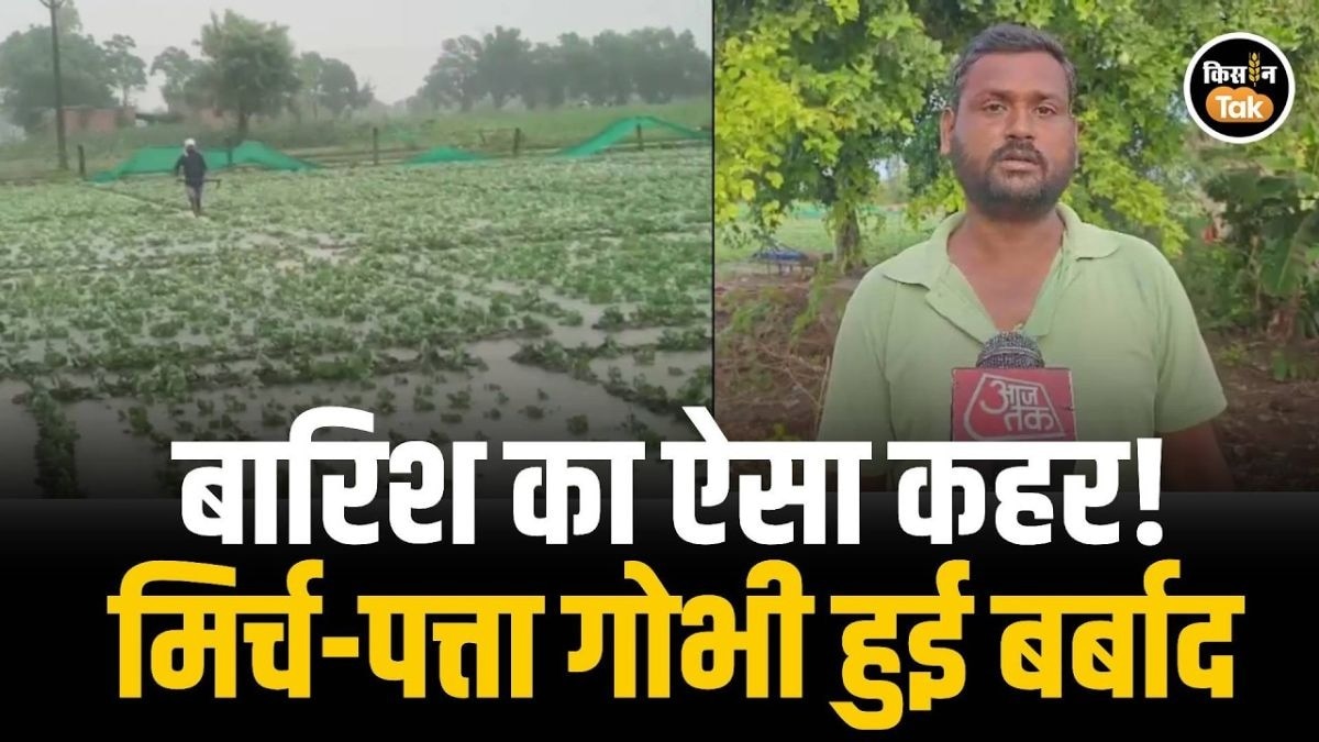 बारिश ने मचाई तबाही