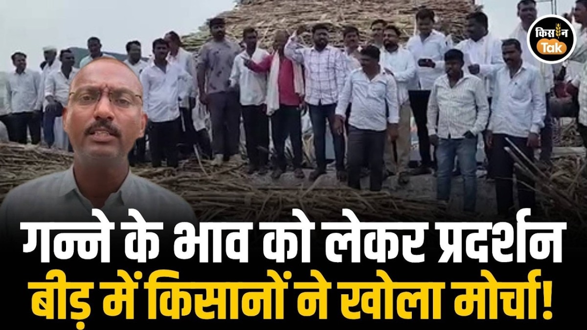 sugarcane farmers protest