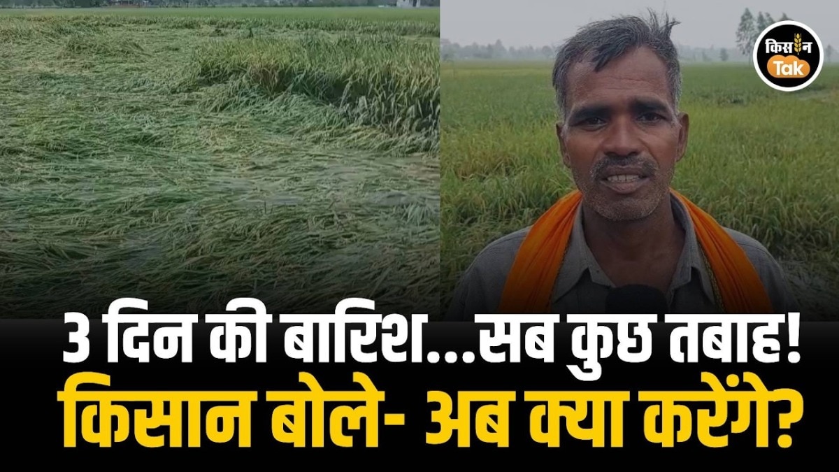 crop loss heavy rain