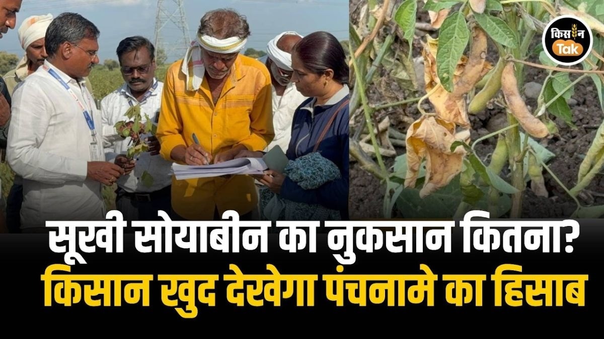 फसल नुकसान का सर्वे 