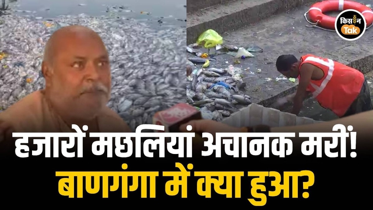 Banganga Tank Fish Death