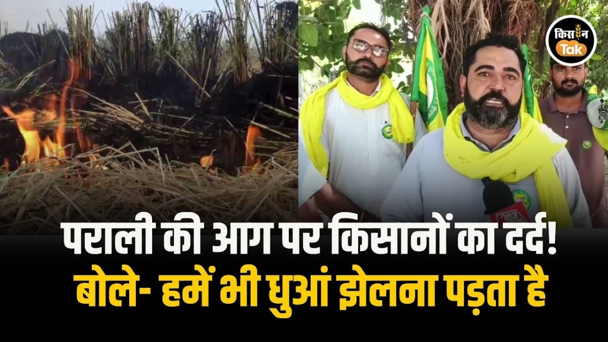 Punjab Stubble Burning