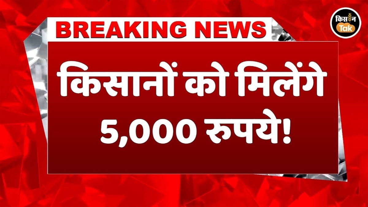 Maharashtra Farmers Drought Relief