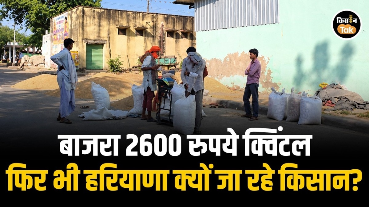 Bajra Mandi Bhav