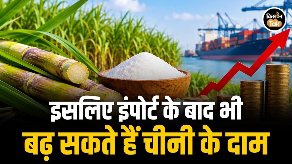 Sugar Crisis India