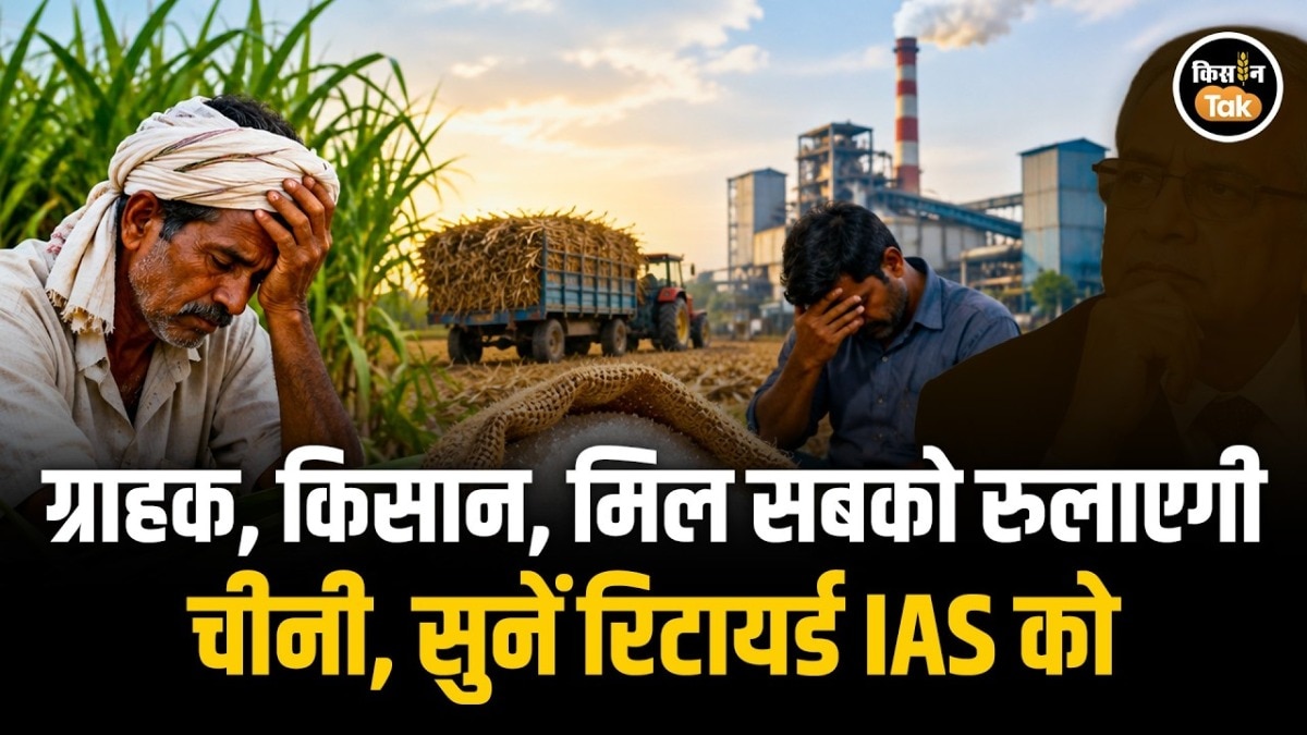 Sugarcane Ethanol Policy Impact