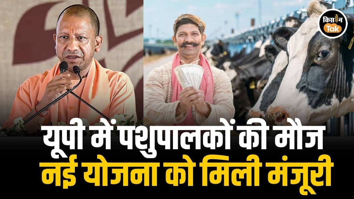 UP State Livestock Mission