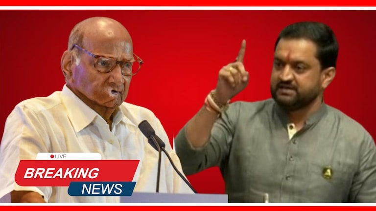 Maharashtra News Updates : 'पवारांनी पुरावे द्यावे नाहीतर...', शरद पवारांच्या वक्तव्यानंतर सुनील शेळकेंची प्रतिक्रिया! Mumbai Tak