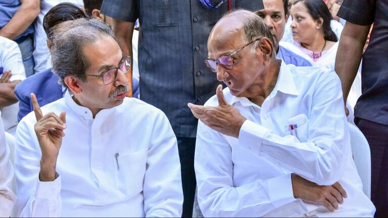 Maharashtra Lok Sabha Election Live : 'काँग्रेसमध्ये विलिनीकरण' : उद्धव ठाकरे, शरद पवार सांगतील तेच करतील -फडणवीस Mumbai Tak