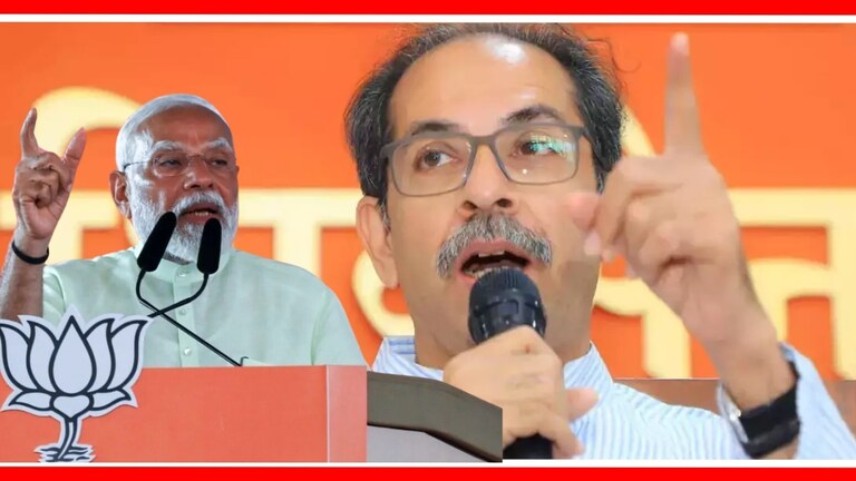 Maharashtra News Live: "जिथे शिवसेनेला मतदान होतंय, तिथेच...", ठाकरेंच्या संतापाचा कडेलोट Mumbai Tak